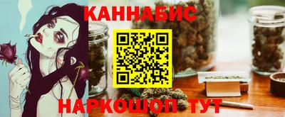 СК Гатчина