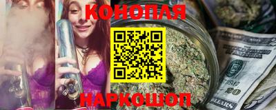 СК Гатчина