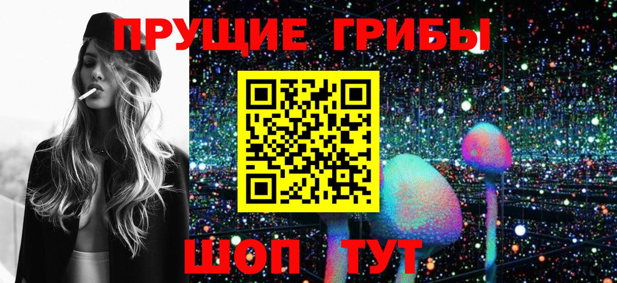 Галлюциногенные грибы мицелий Волоколамск
